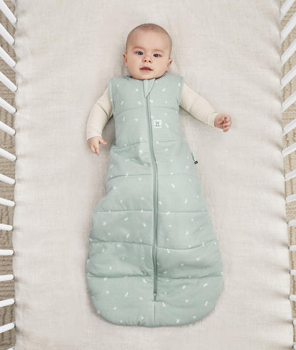 Sleeping Bag 2.5 TOG Sage